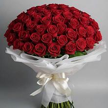 Букет 101 Красная роза Блэк Мэджик в Орлово