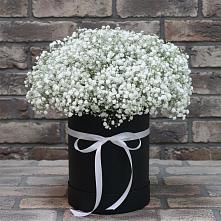 Цветочная композиция из Гипсофила в шляпной коробке #REPLACE_PRED# Орлово
